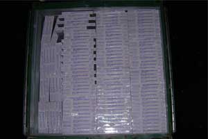 packing picture,  loading picture